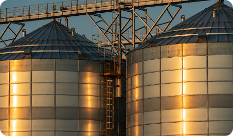 Rectangle 5 Rectangle 5